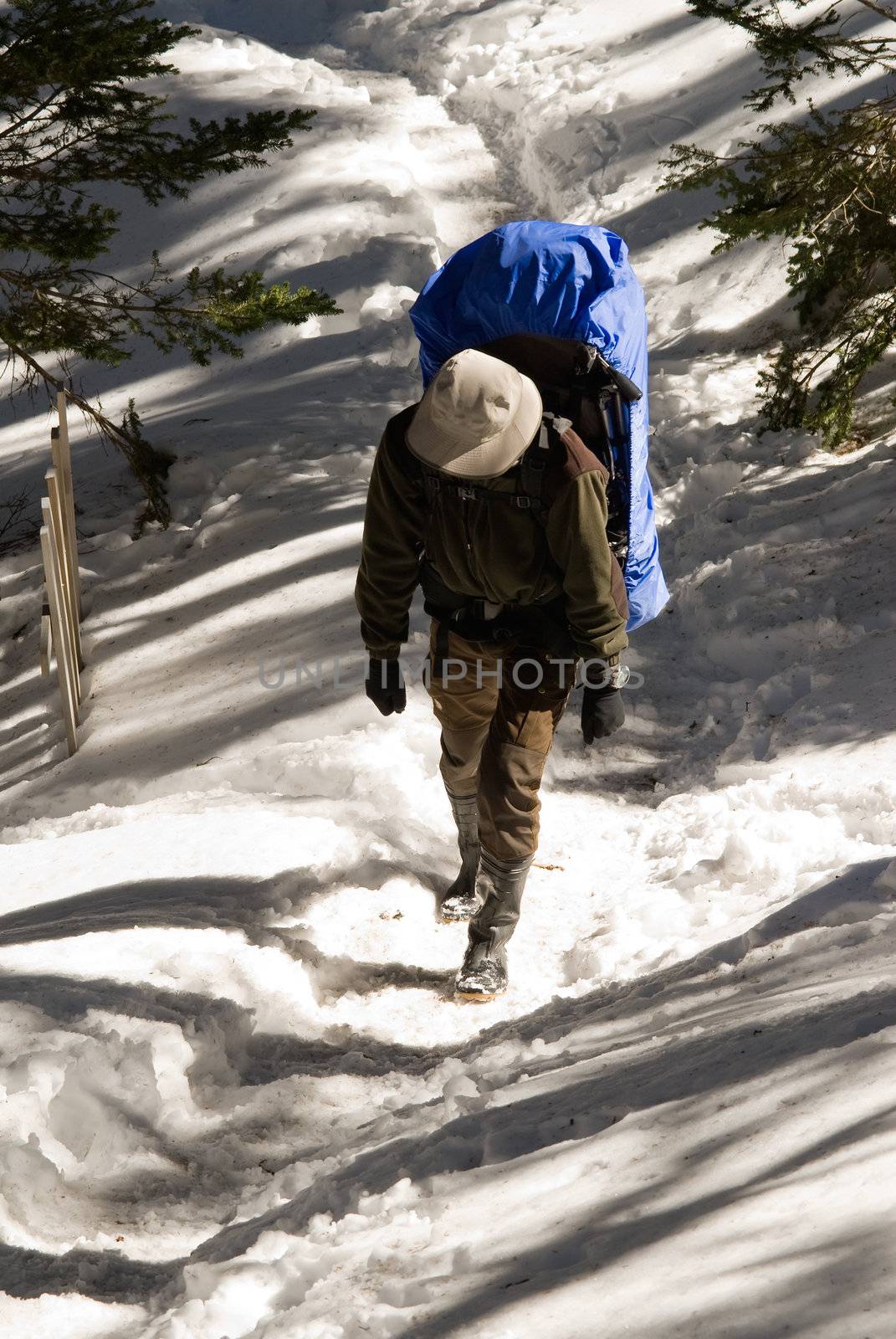 Mountaineer with backpack walking on snow lane with shadow of tree in high mountain.
