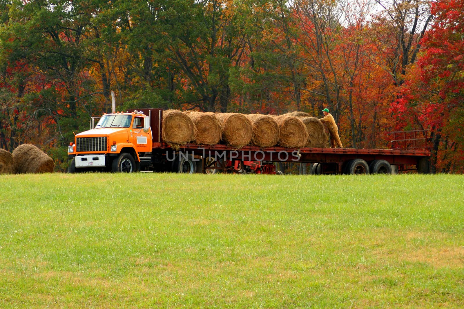 Man working to get hay up and ready for winter