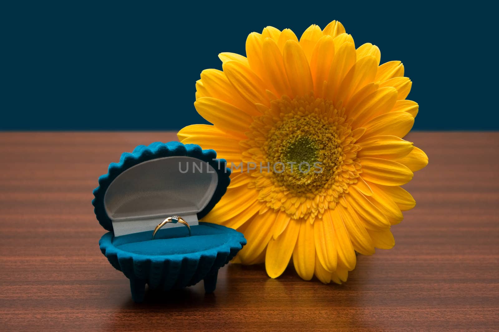 Yellow flower and golden ring in box on wooden table, dark-blue back