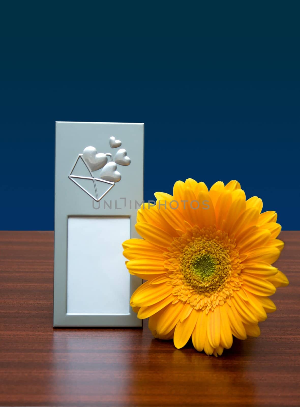 blank photo frame and yellow flower on dark-blue