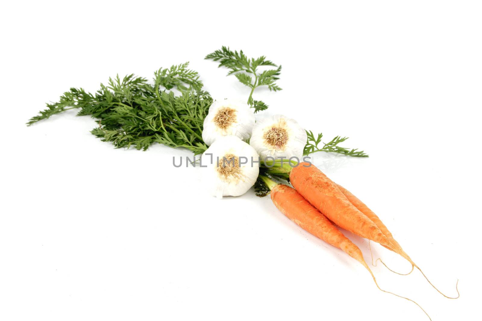 Bunch on raw crunchy carrots with white garlic bulbs on a reflective white background