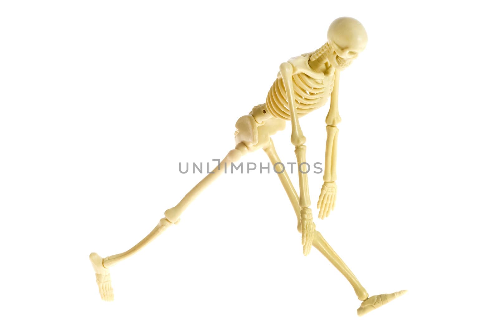 a walking skeleton