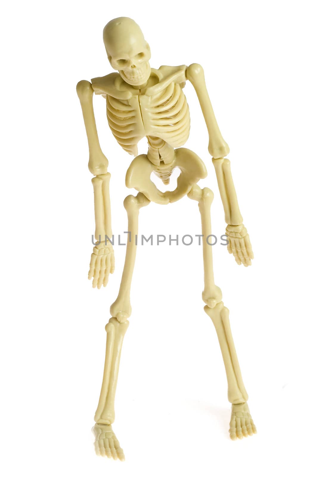 a standing skeleton