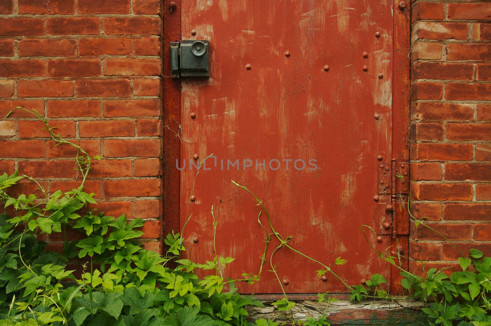 Abstract Vintage Red Door, Brick Wall and Green Vines.