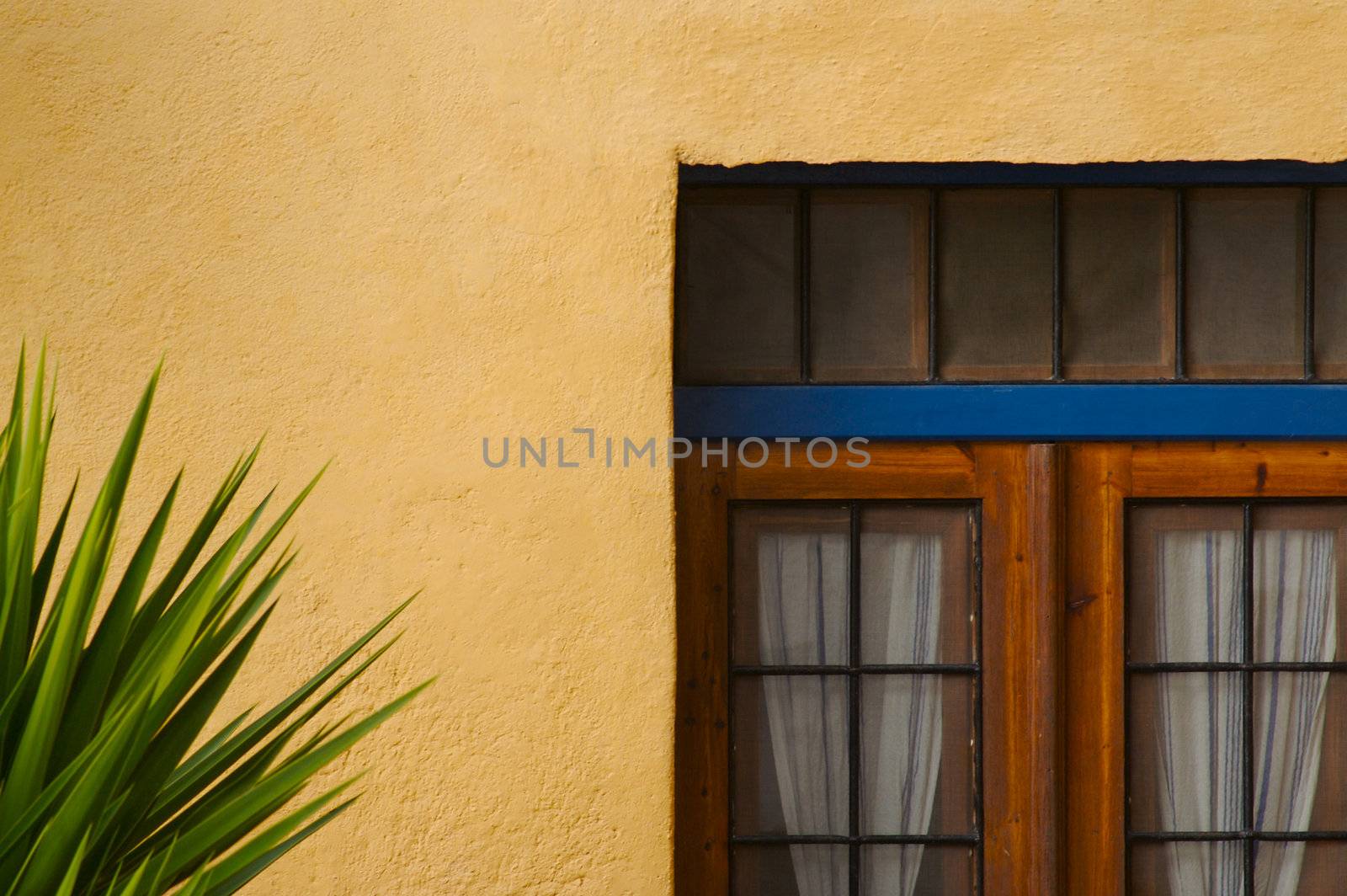 Abstract close-up of Wall and Door of Santorini home.