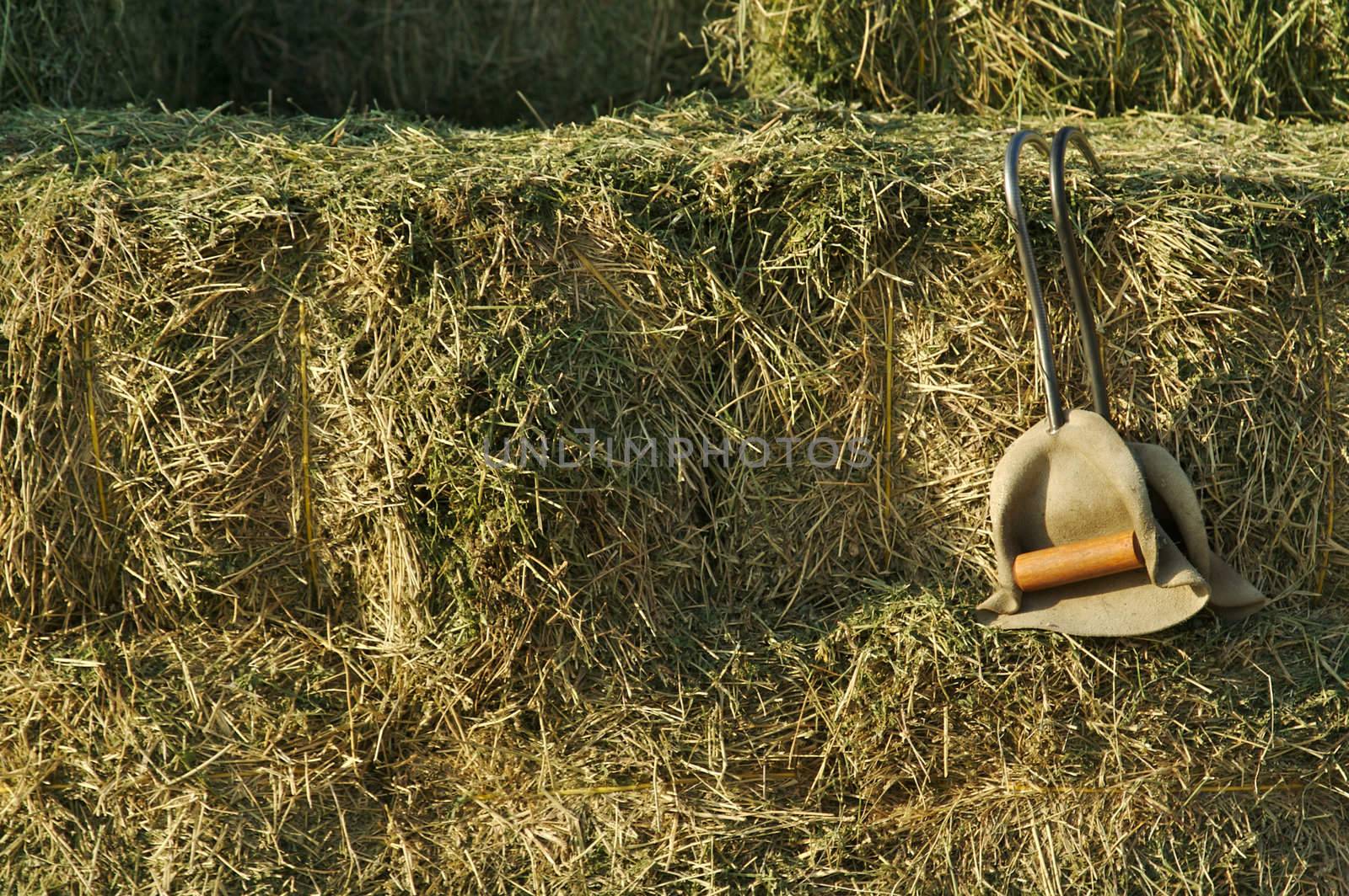 Stacked Straw Hay Bails by Feverpitched