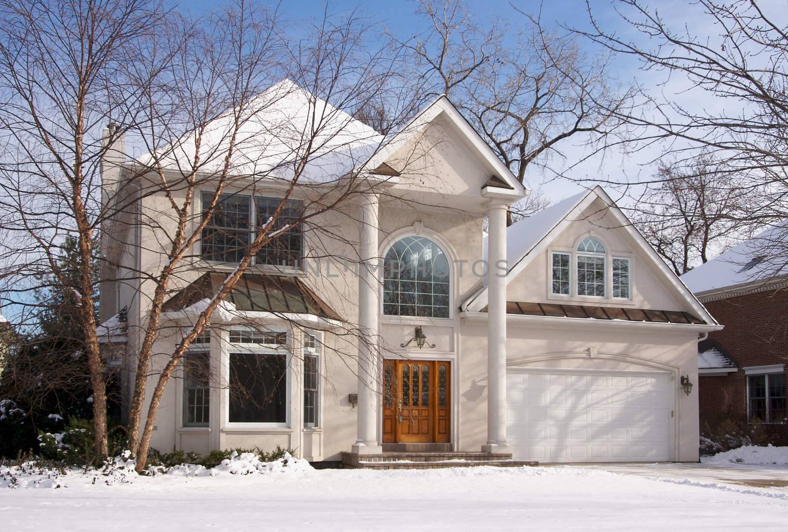 Majestic Newly Constructed Home Facade on a Blustry Day