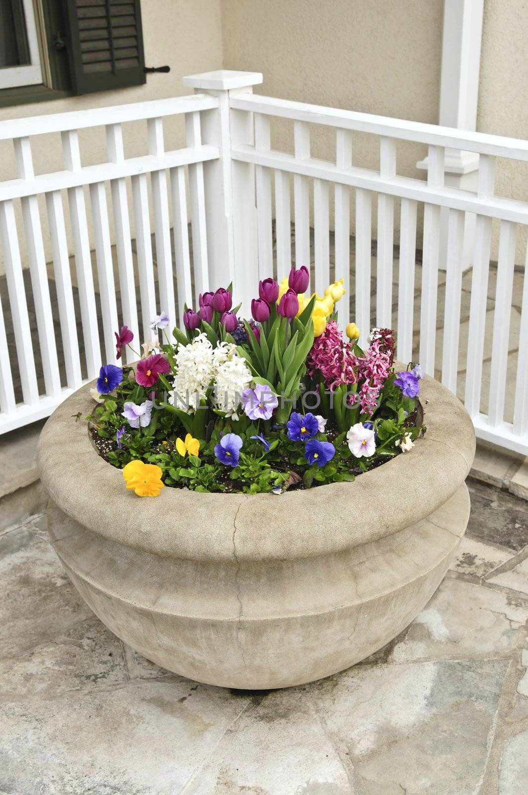 Stone planter with spring flowers by elenathewise