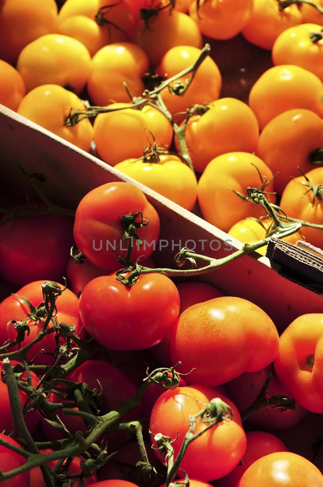 Colorful tomatoes for sale on farmer's market