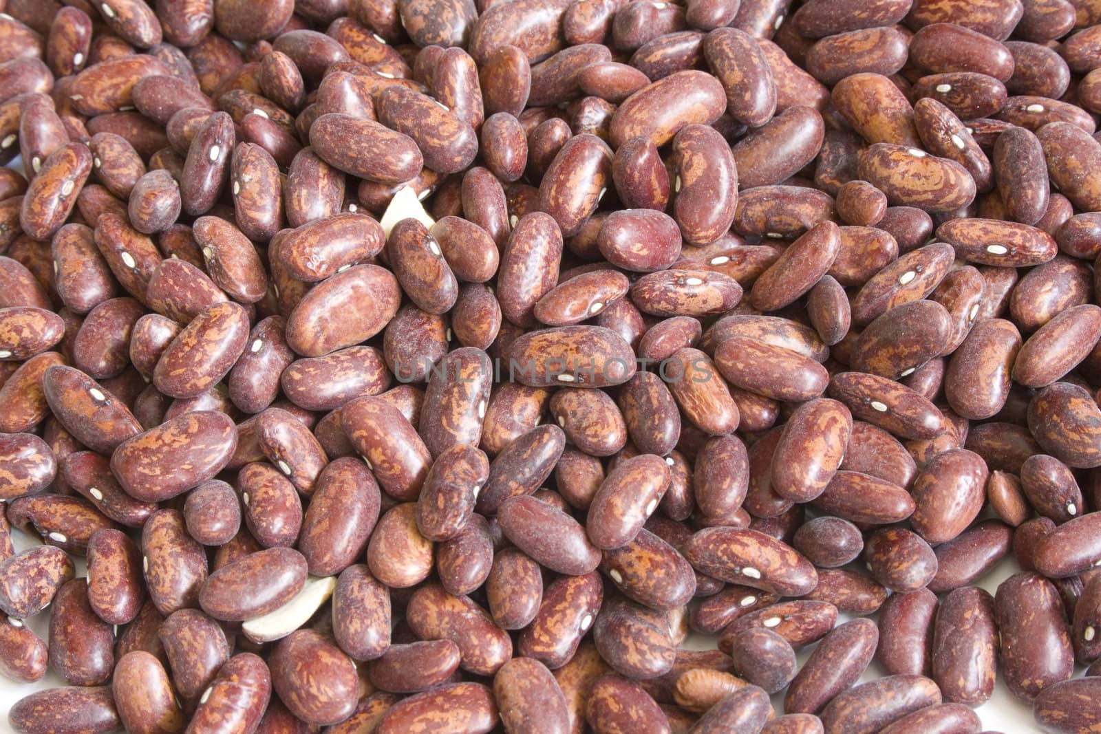 Heap of pinto dried haricot