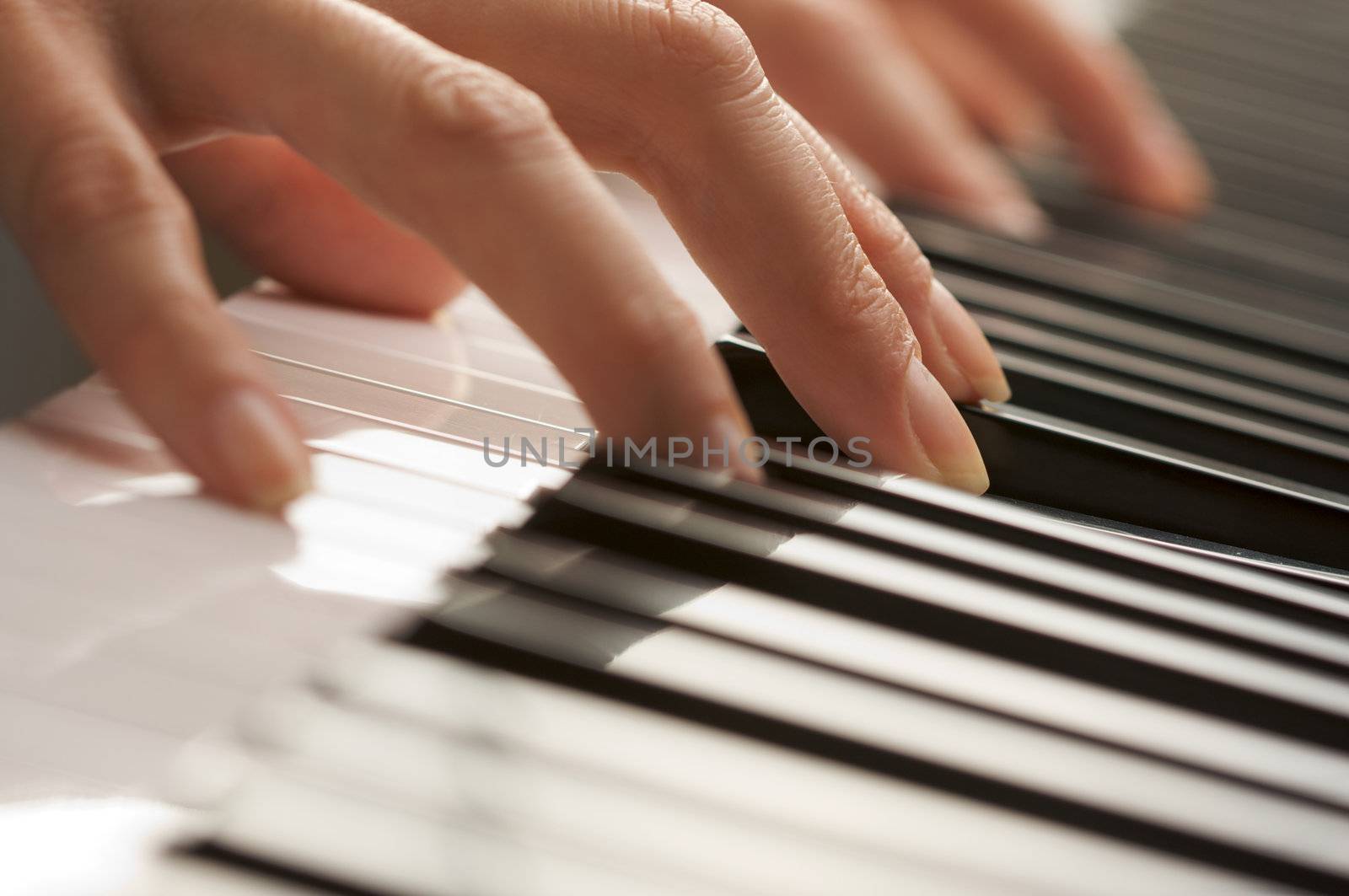 Woman's Fingers on Digital Piano Keys by Feverpitched