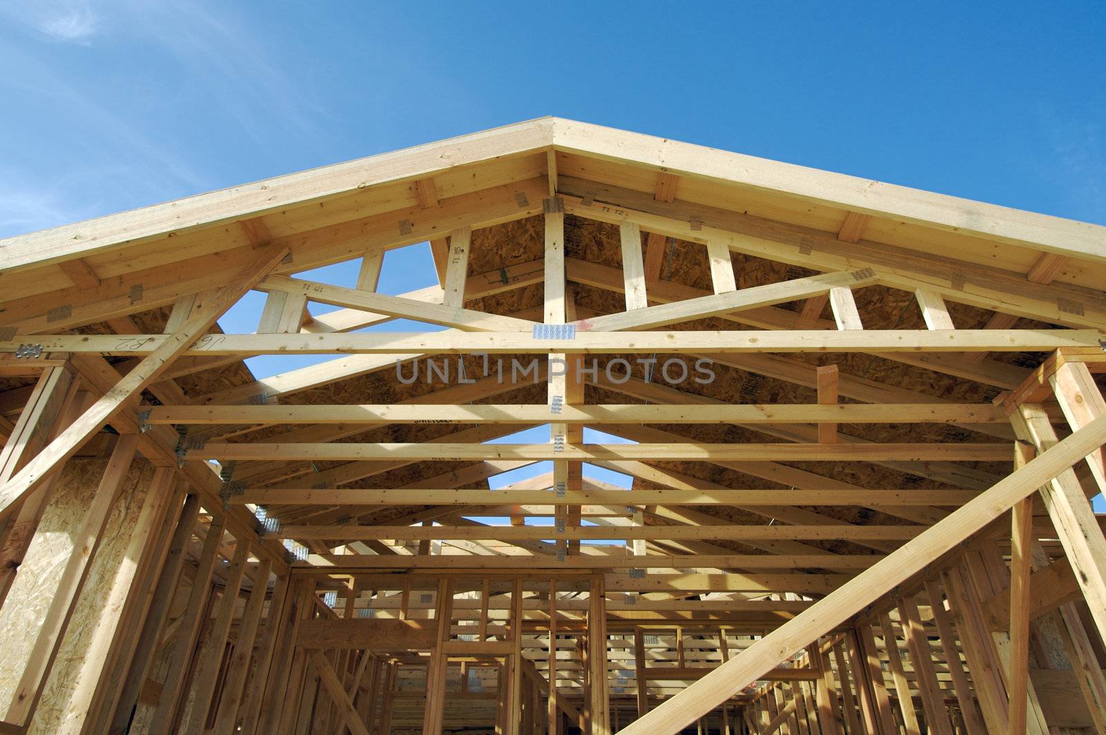 Construction Home Framing Abstract by Feverpitched