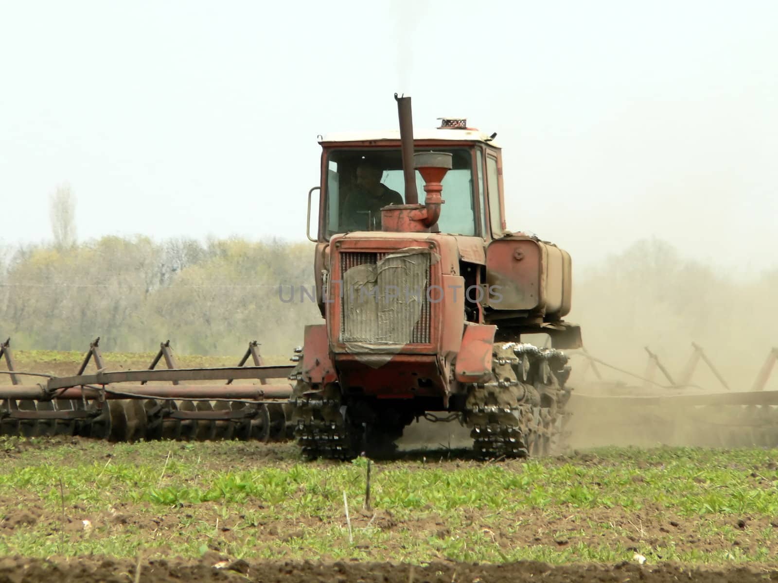 Spring plowing on the field