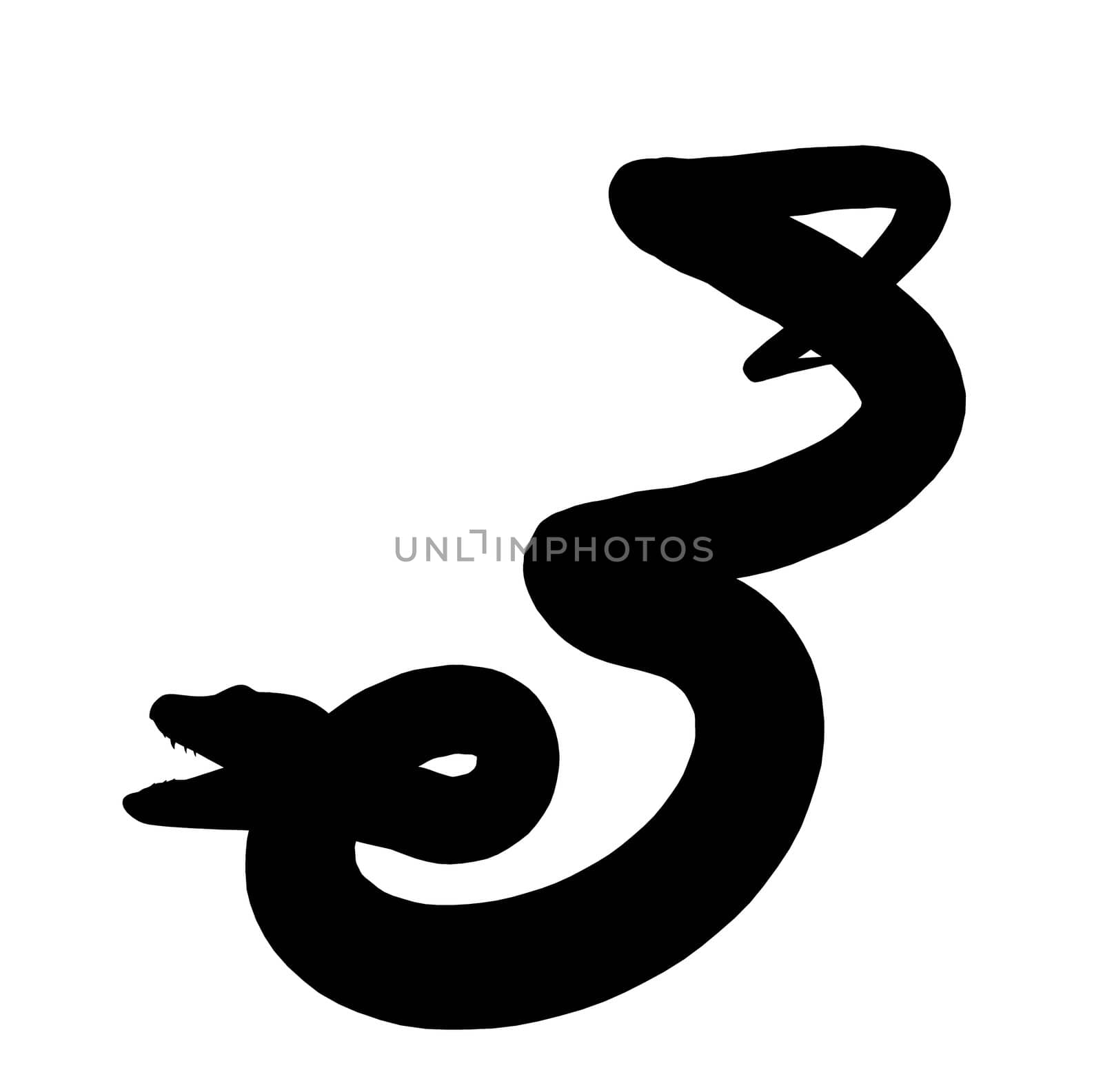 Black snake art illustration silhouette on a white background