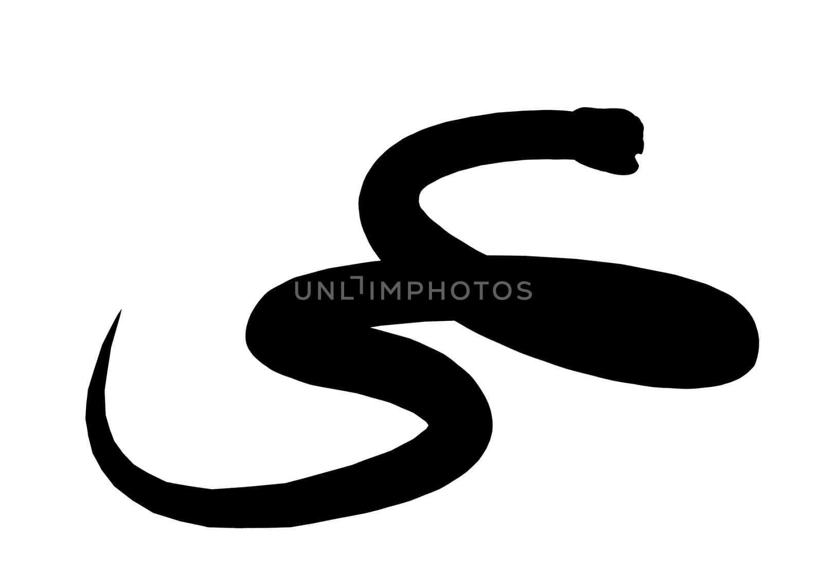 Black snake art illustration silhouette on a white background