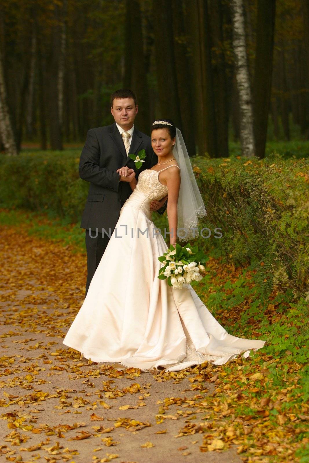 Beautiful newly married pair in park