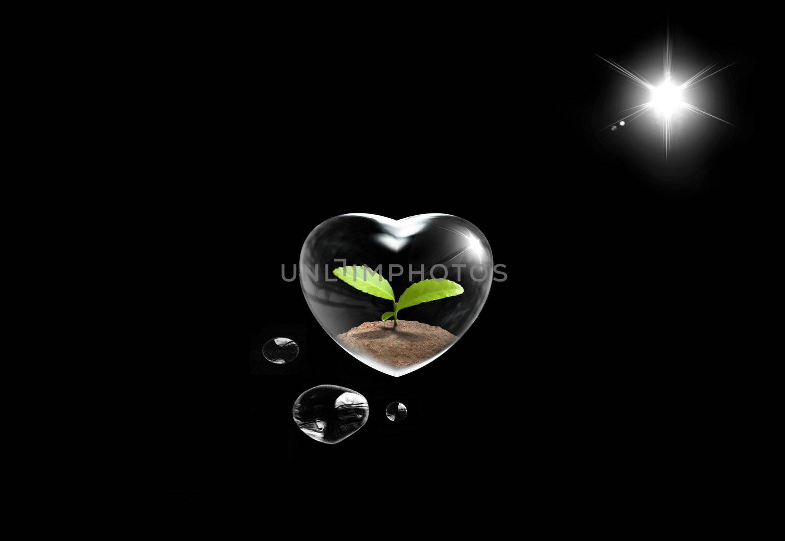 Beautiful heart with  a green plant in the night