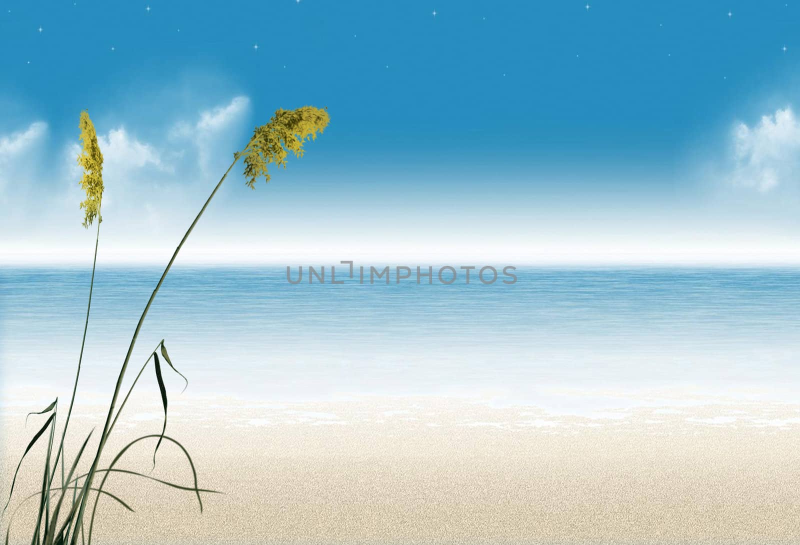 Seaside view with blue sky and a green grass