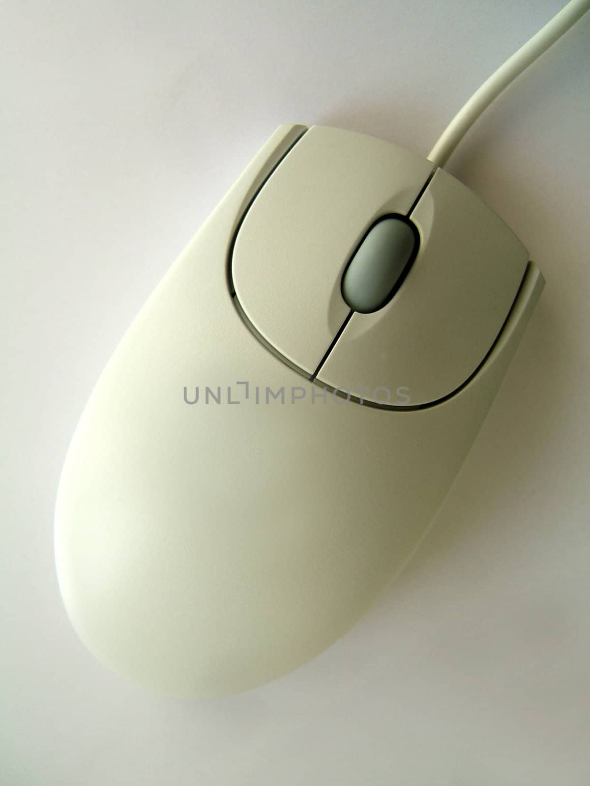 White mouse