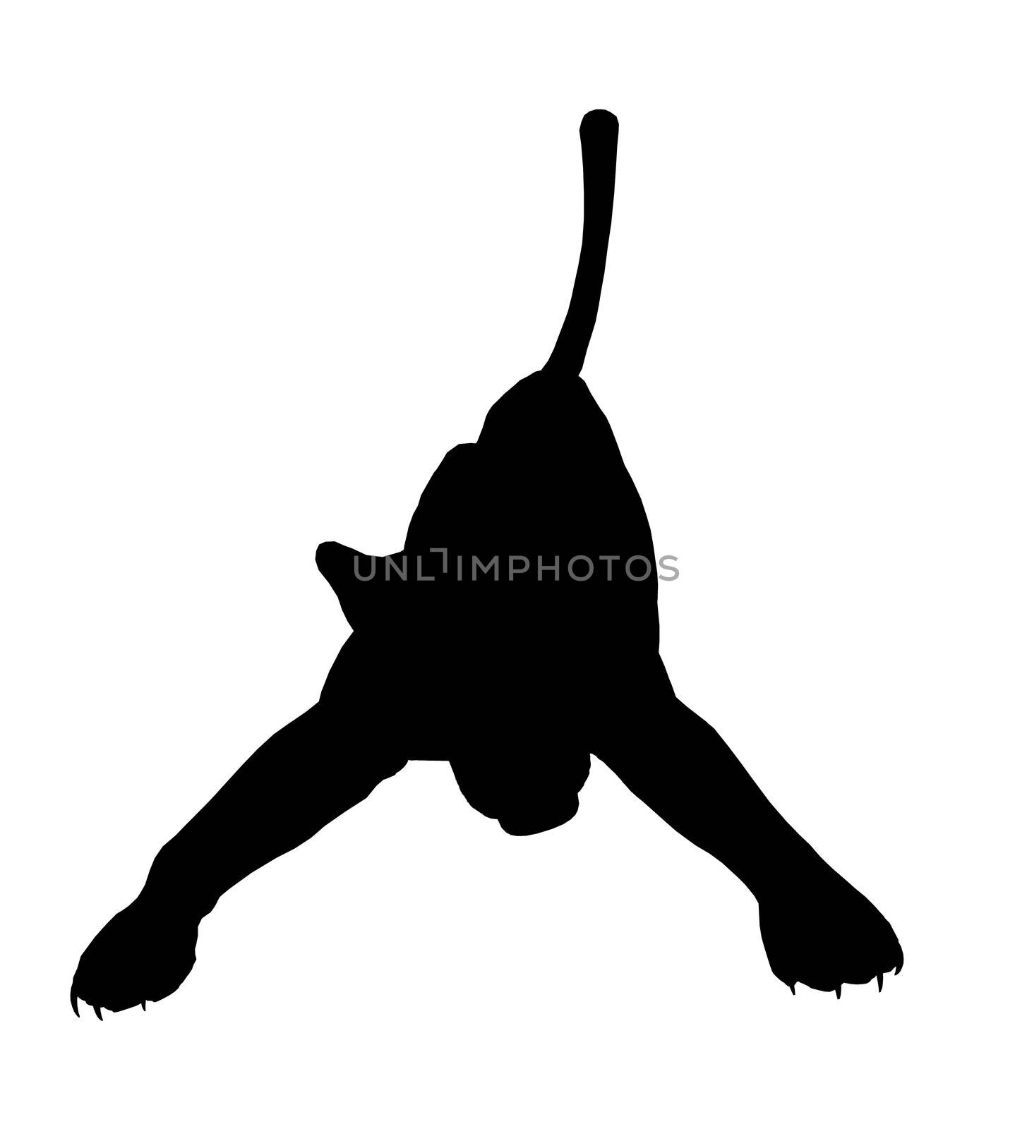 Black panther art illustration silhouette on a white background