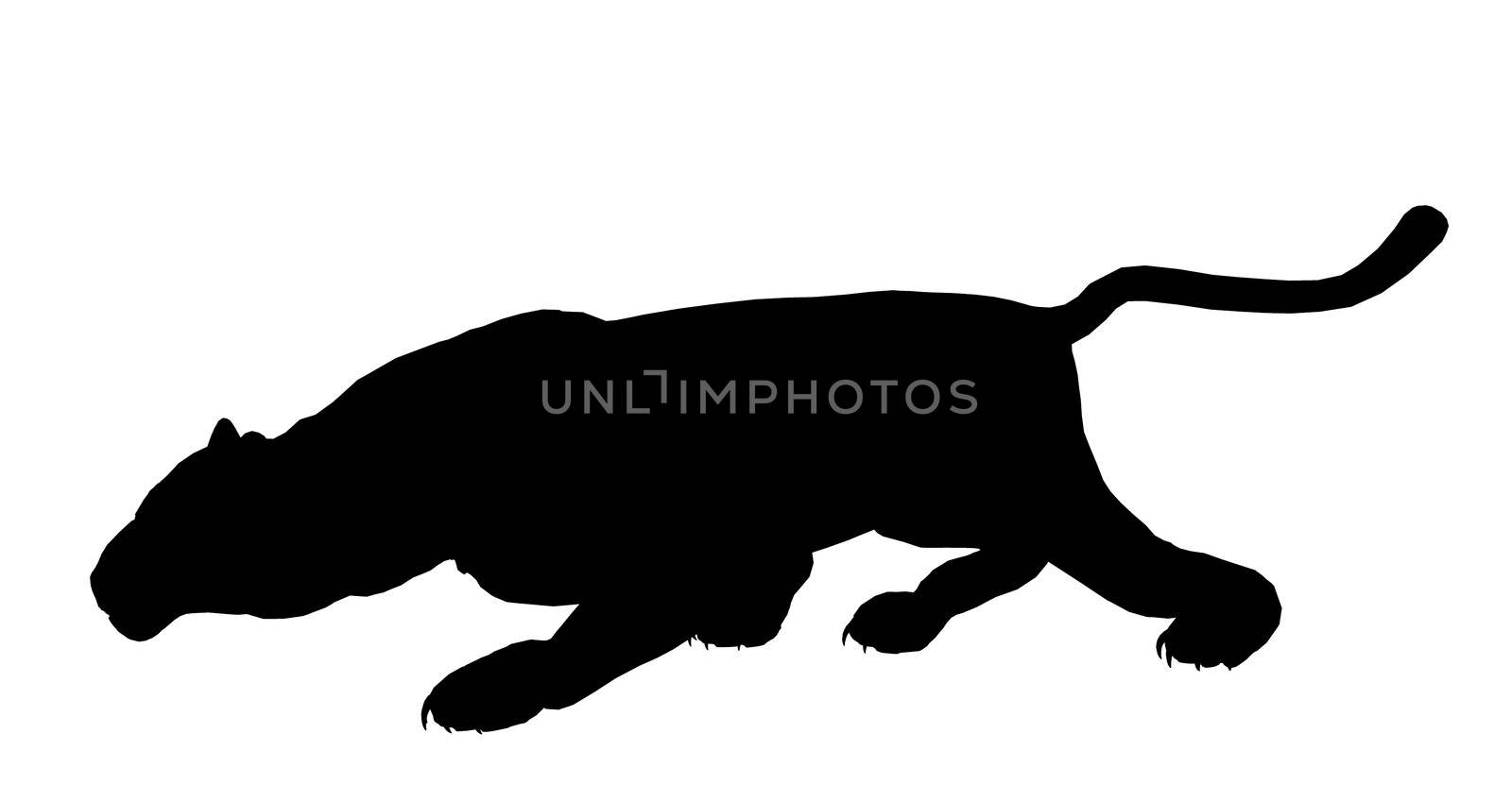 Black panther art illustration silhouette on a white background