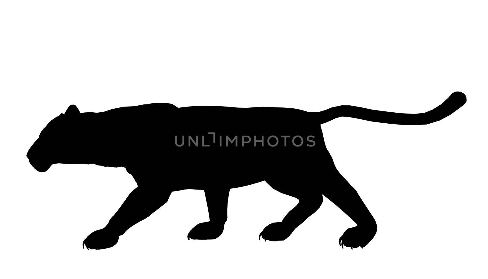 Black panther art illustration silhouette on a white background