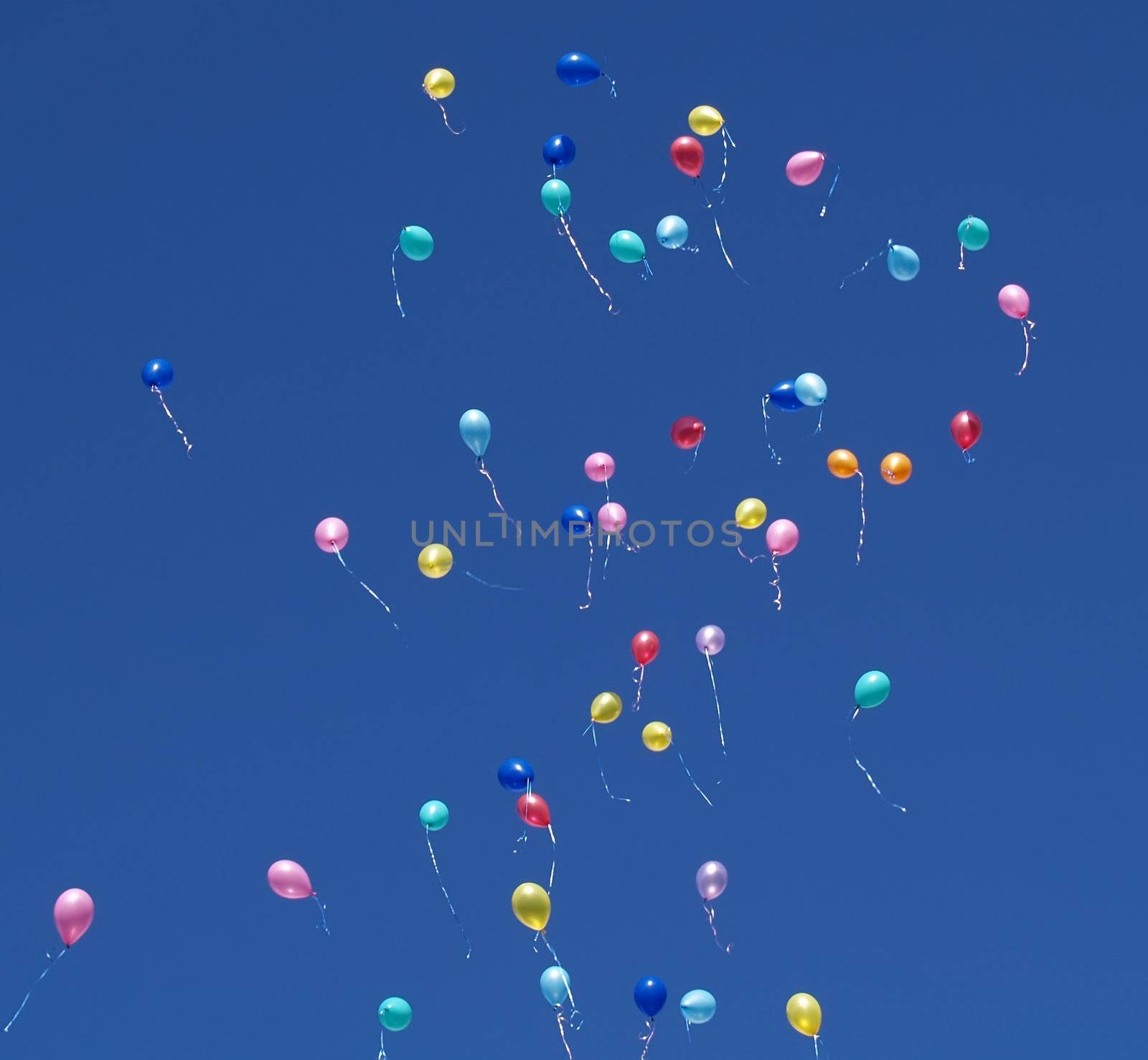 Many helium party balloons floating skyward