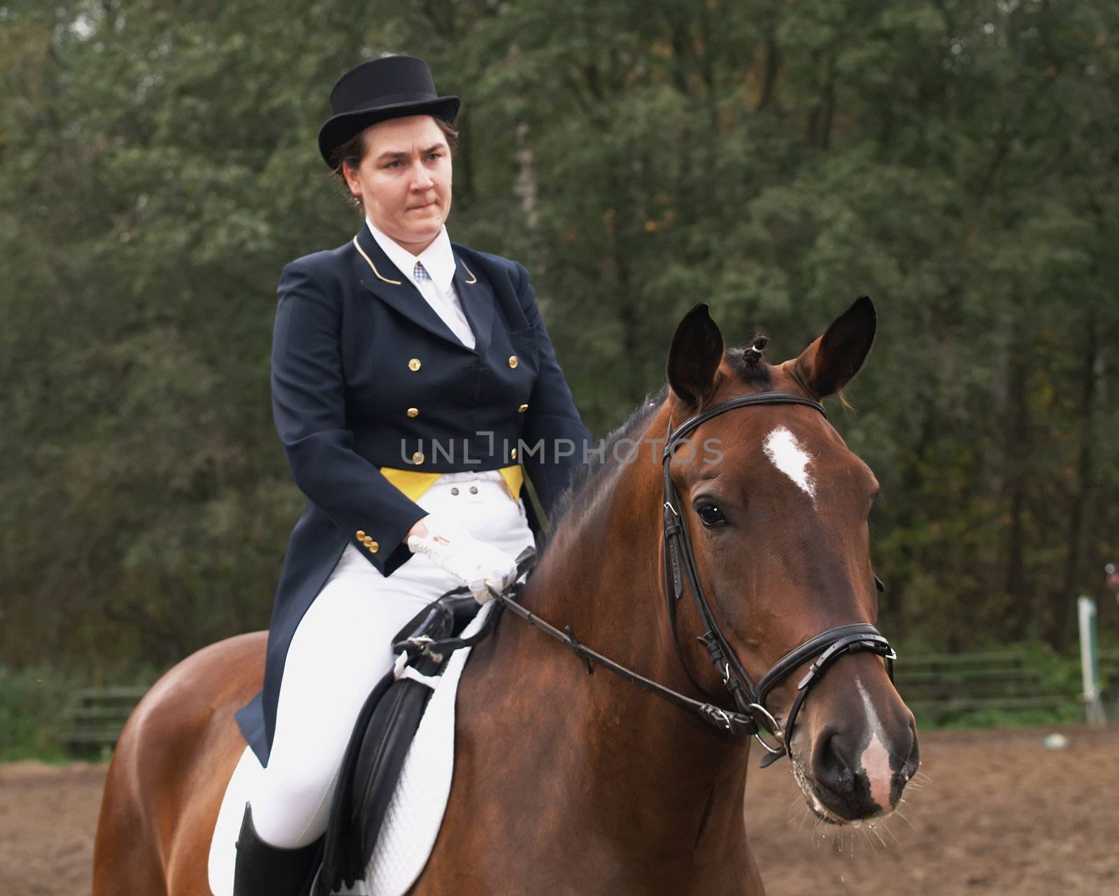 Girl horseback riding English style.