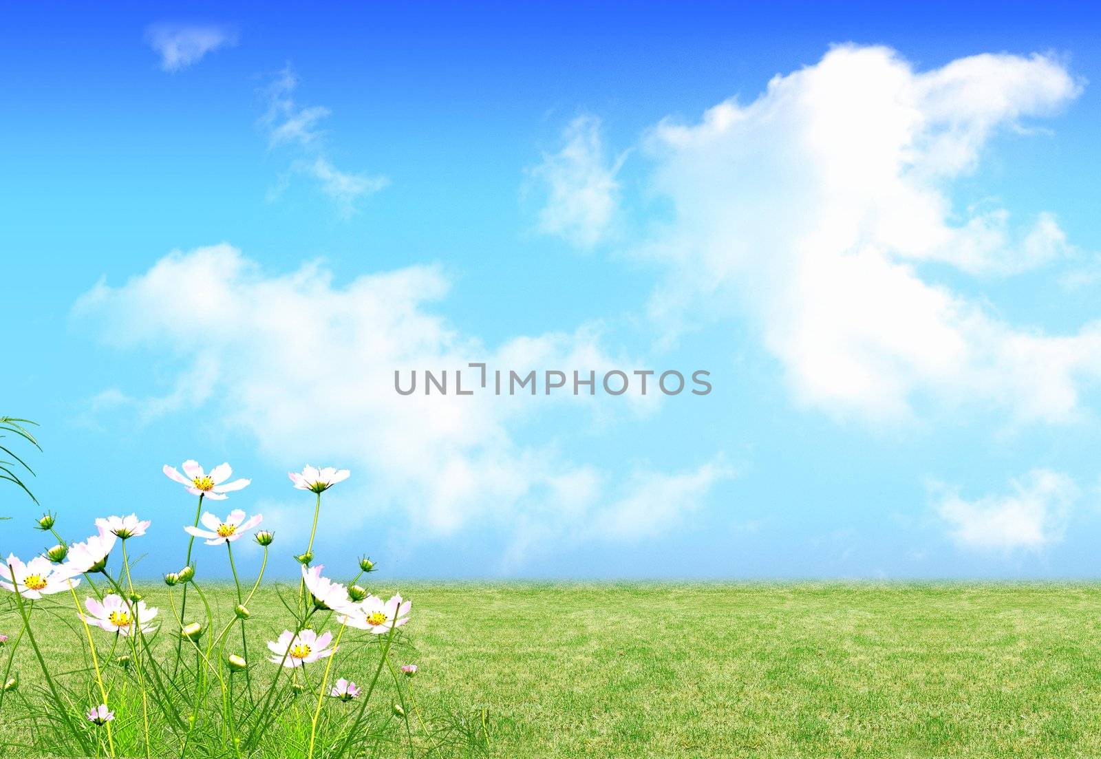 A nice fresh spring views with green field and flowers
