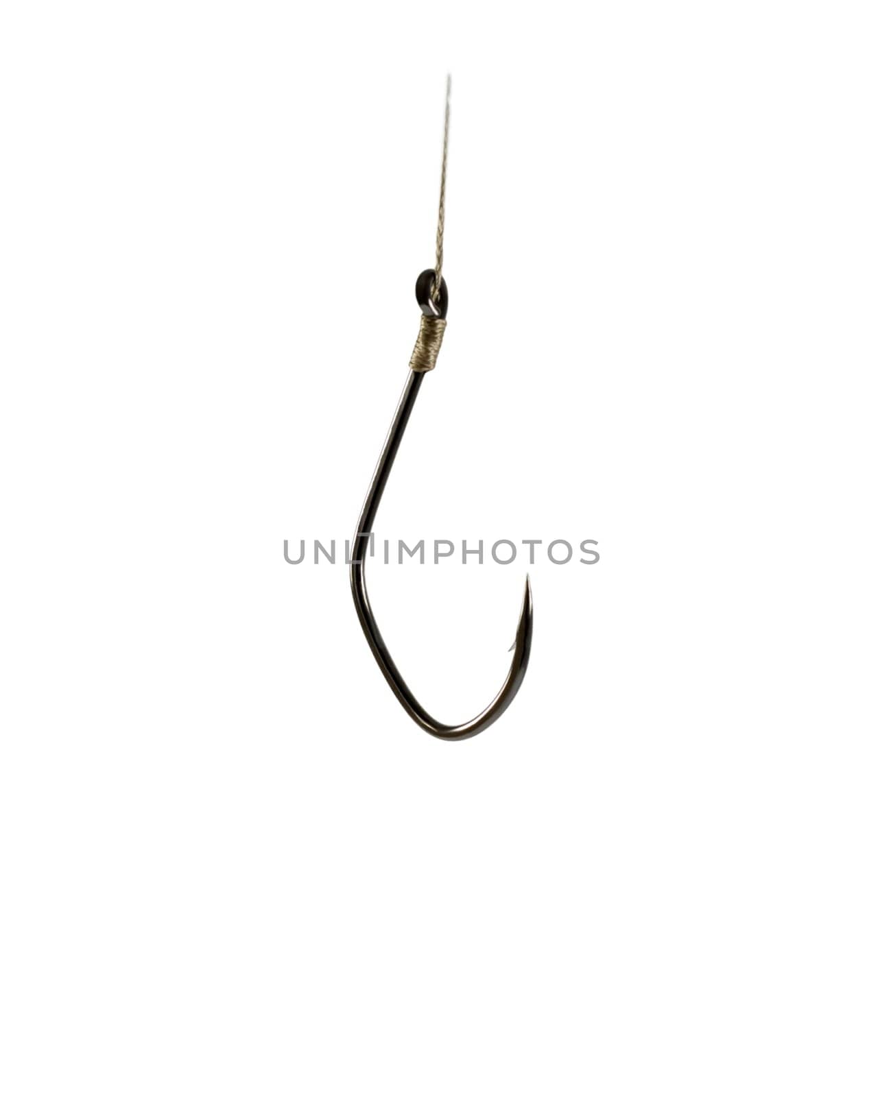 Sharp Fish Hook on a White Background