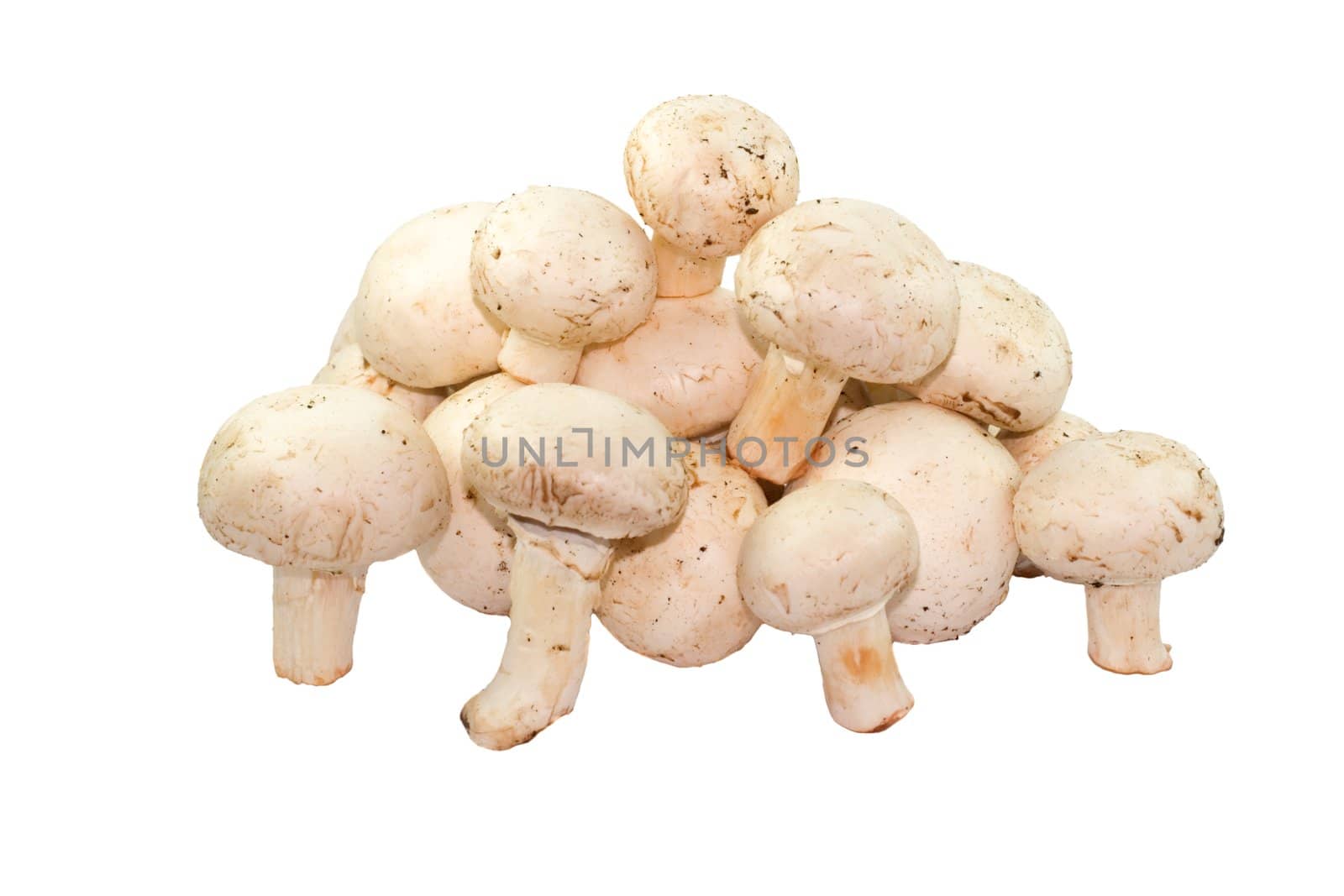 Button Mushrooms Isolated on a White Background