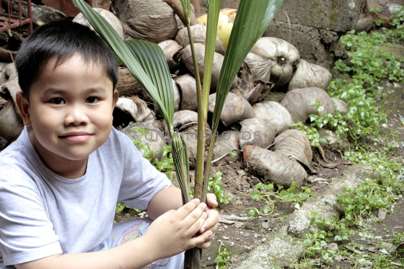 Child Holding a Coconut Seedling by sacatani