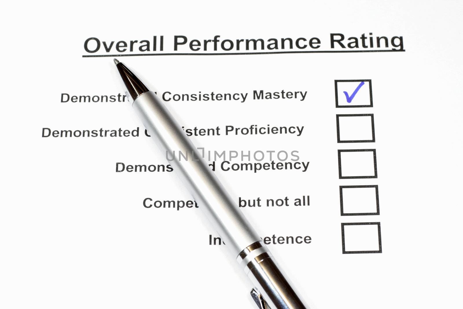 Overall Performance Rating checkbox form for employees