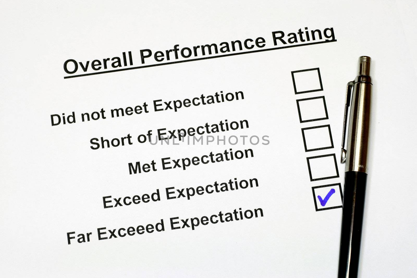 Overall Performance Rating Form 3 by sacatani