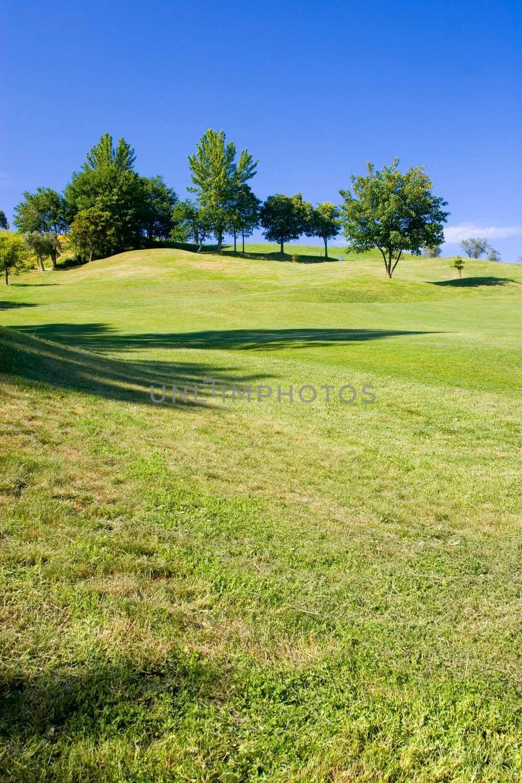 golf field with deep blue sky