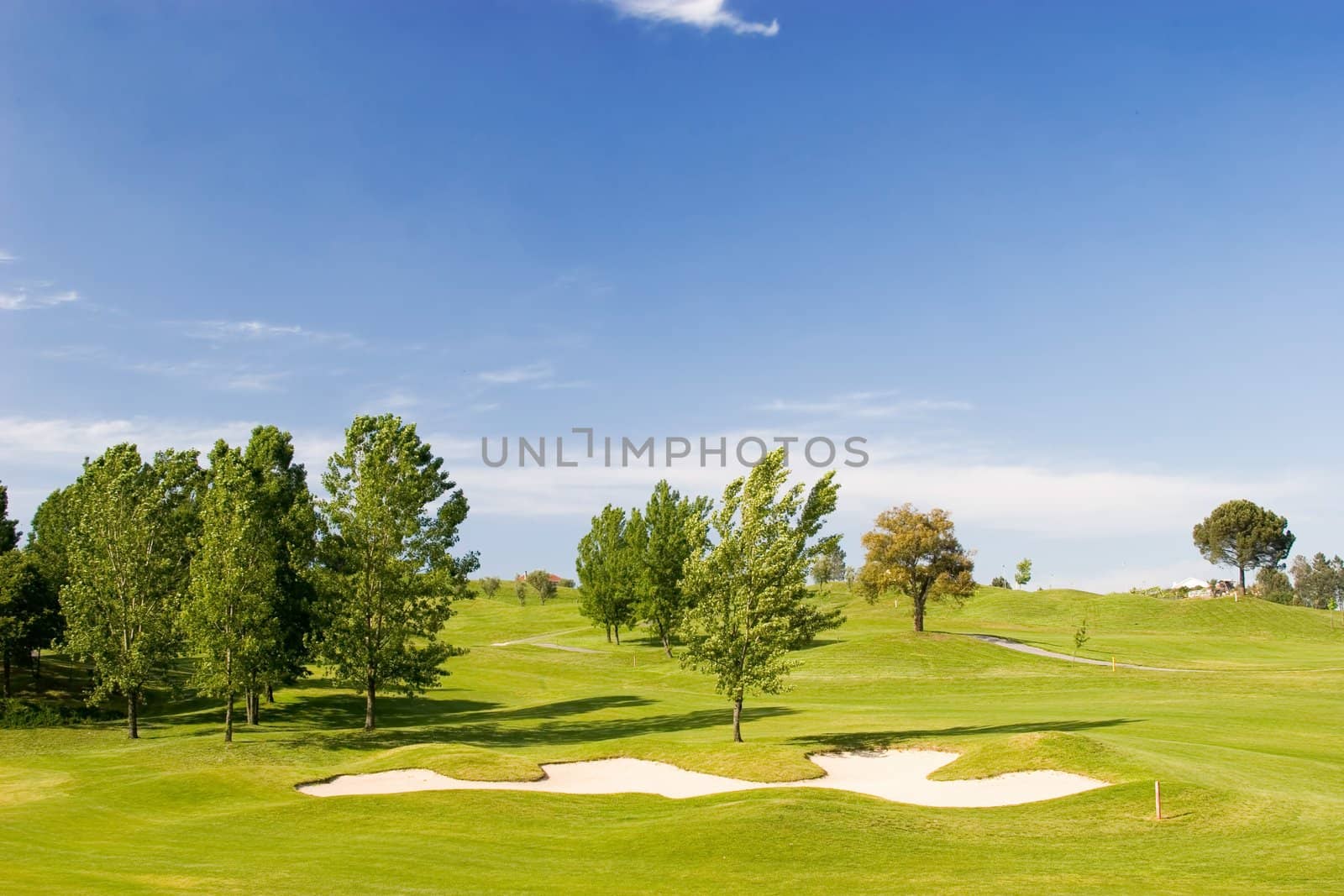 Golf course on spring/summer day