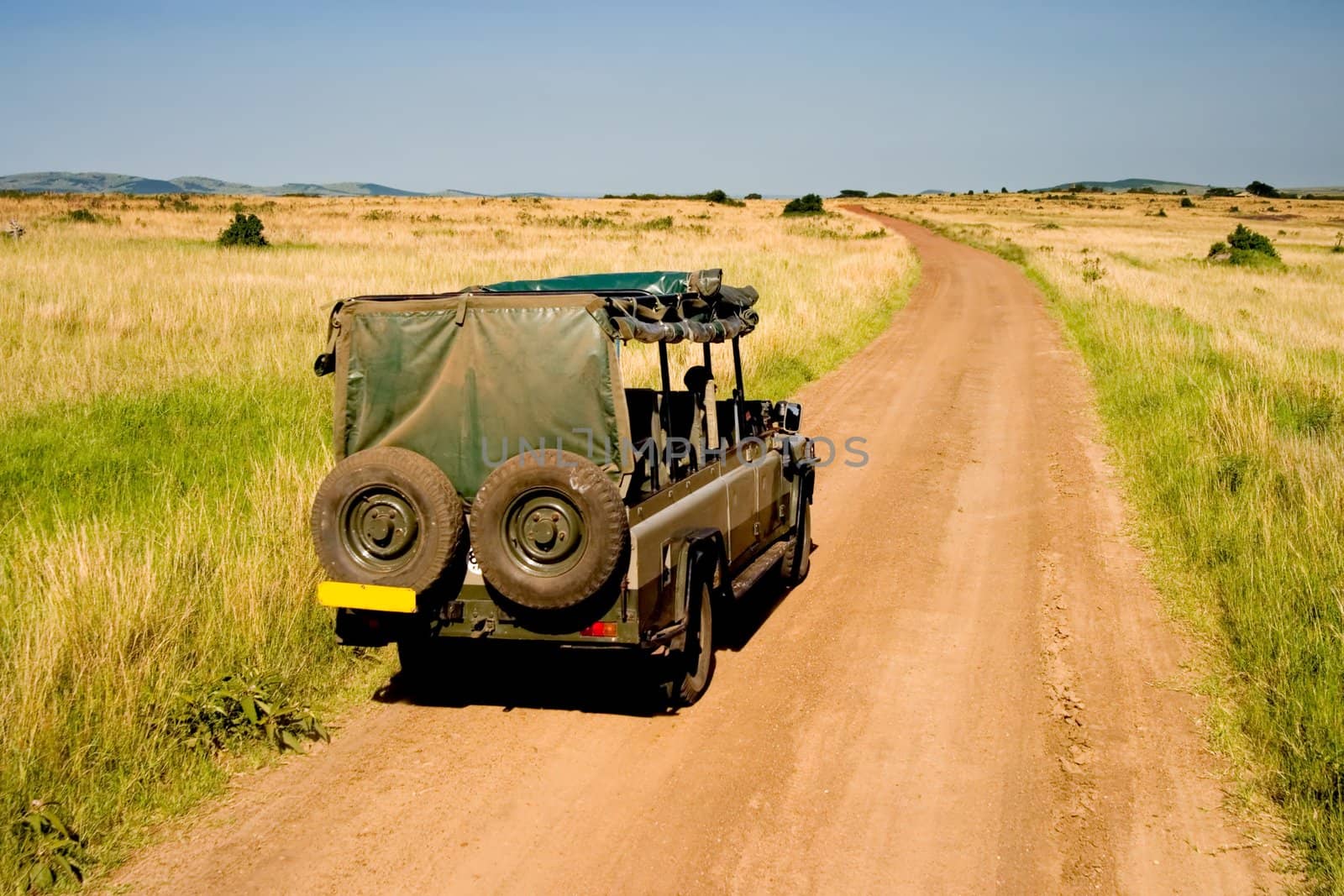 African Savannah by ajn