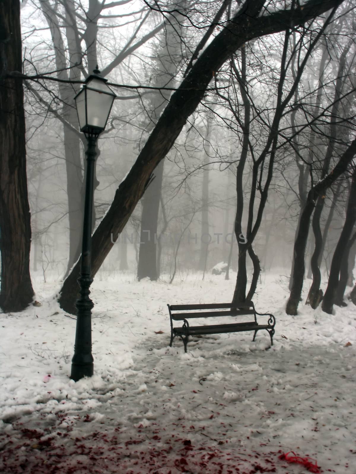 Bench and lantern in a park