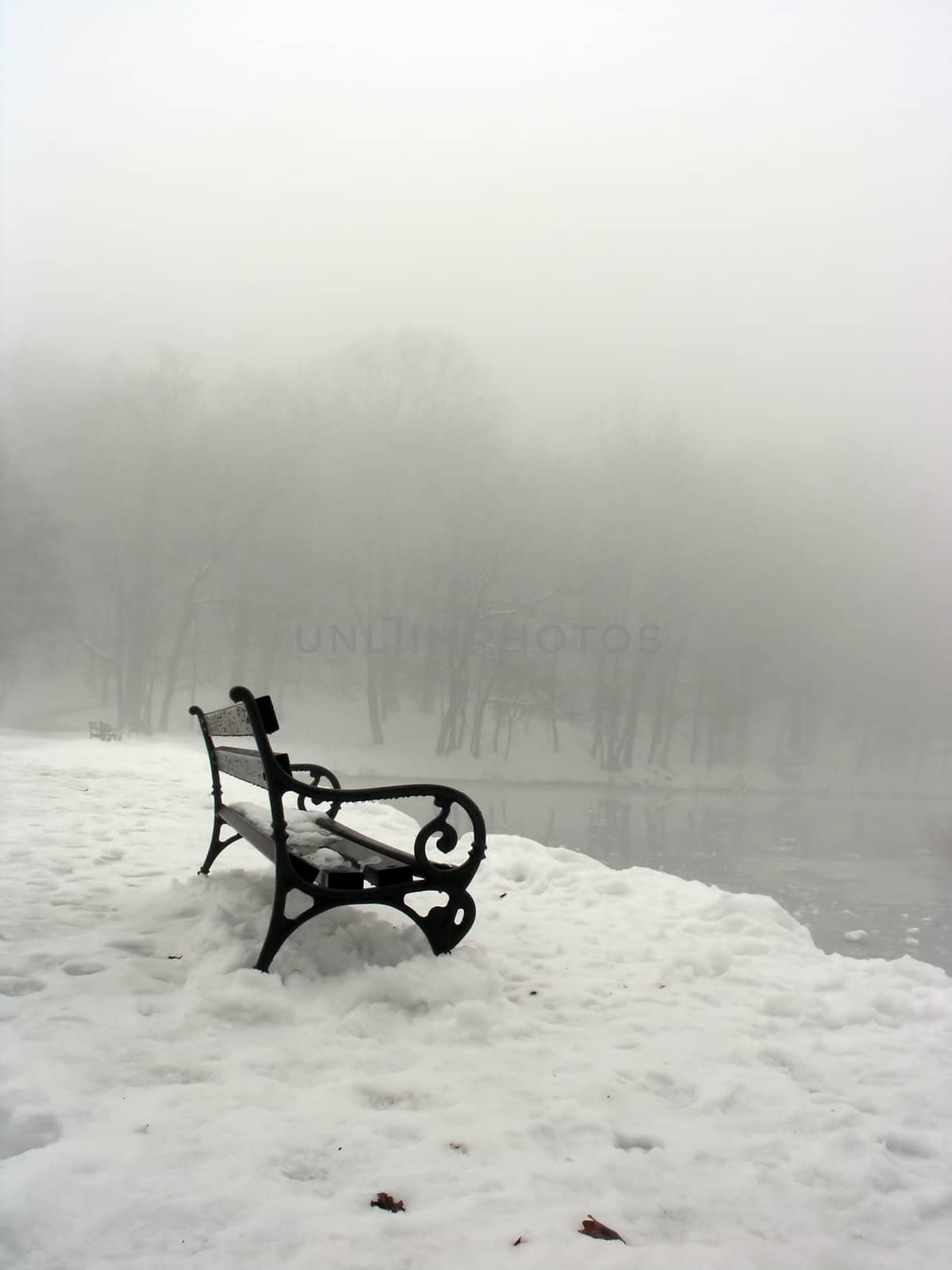 Lonely bench in winter fog