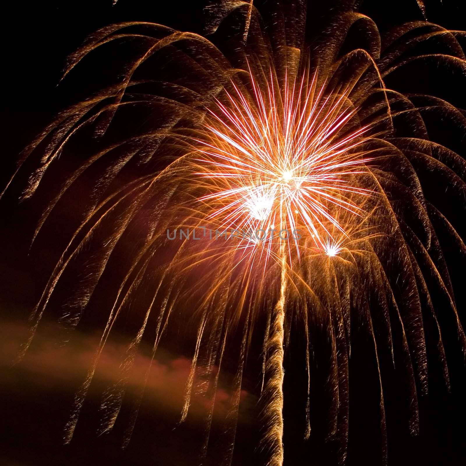 Fireworks Display