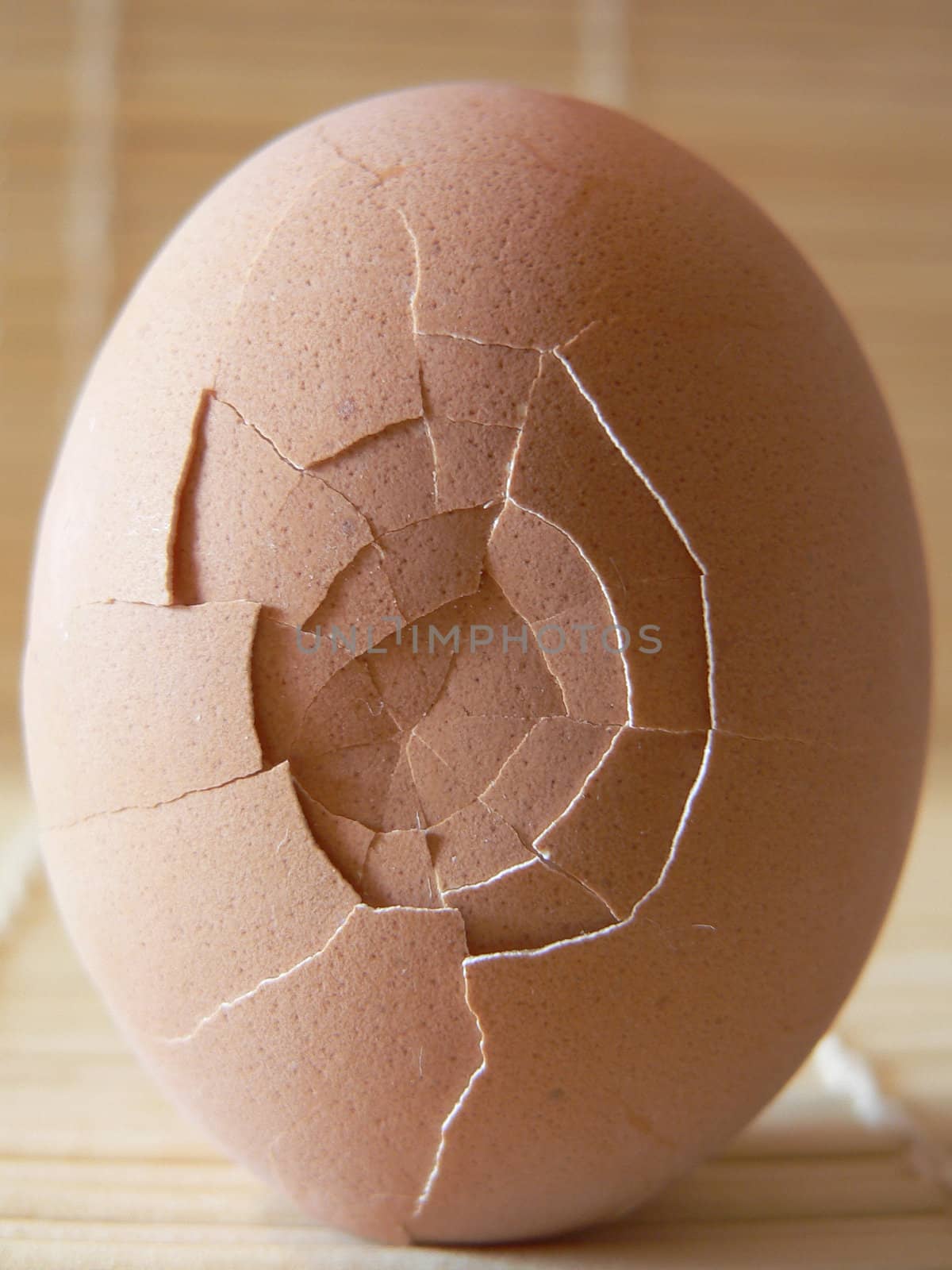  a broken egg close up