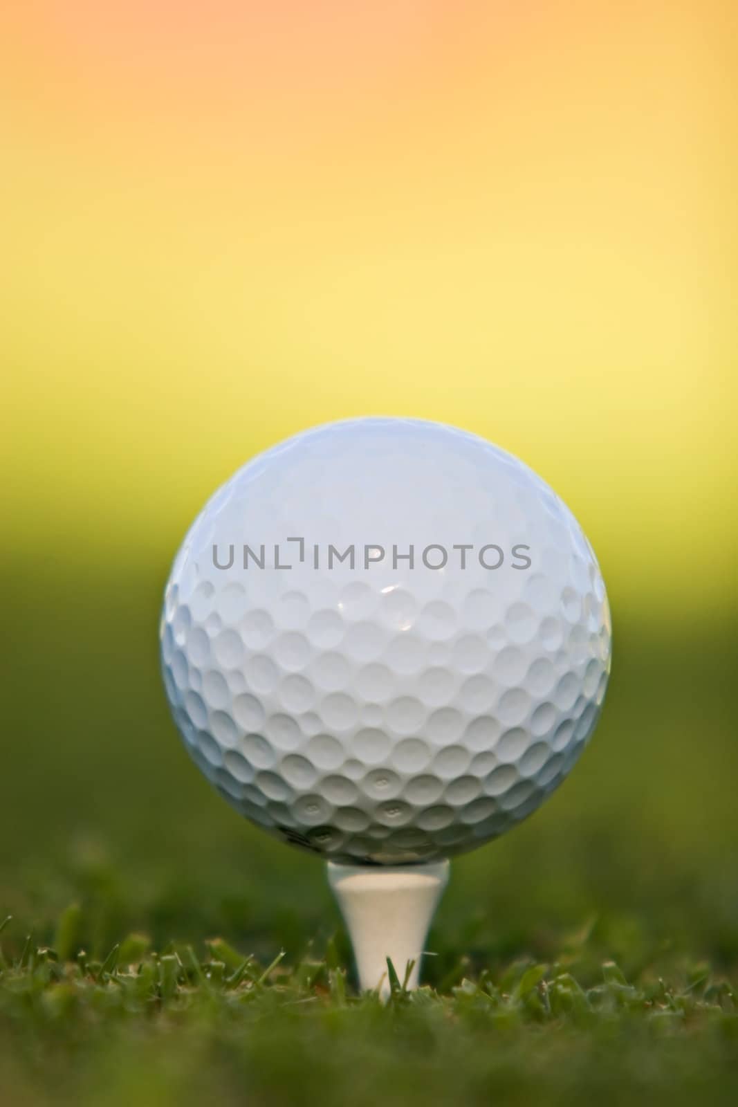 Golf ball on tee, extreme close-up.