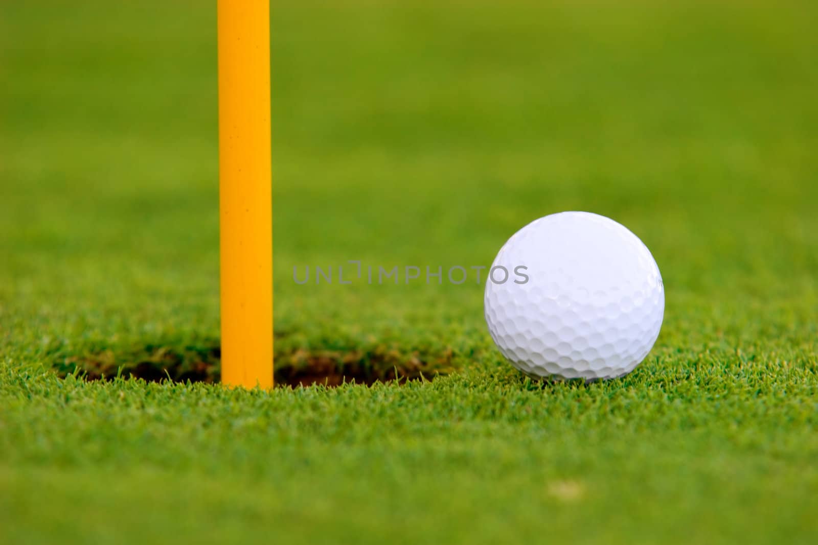 Golf ball on green, near hole.