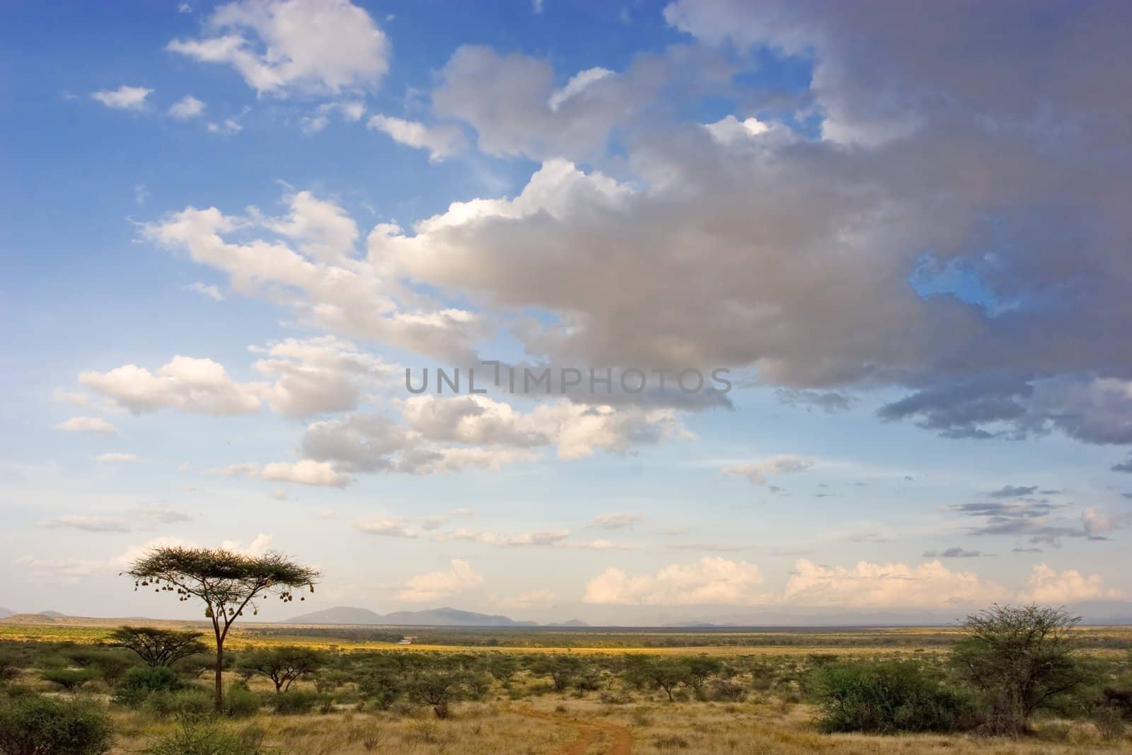 African Landscape by ajn