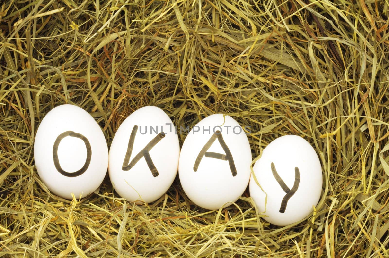 okay concept with eggs on green hey or straw