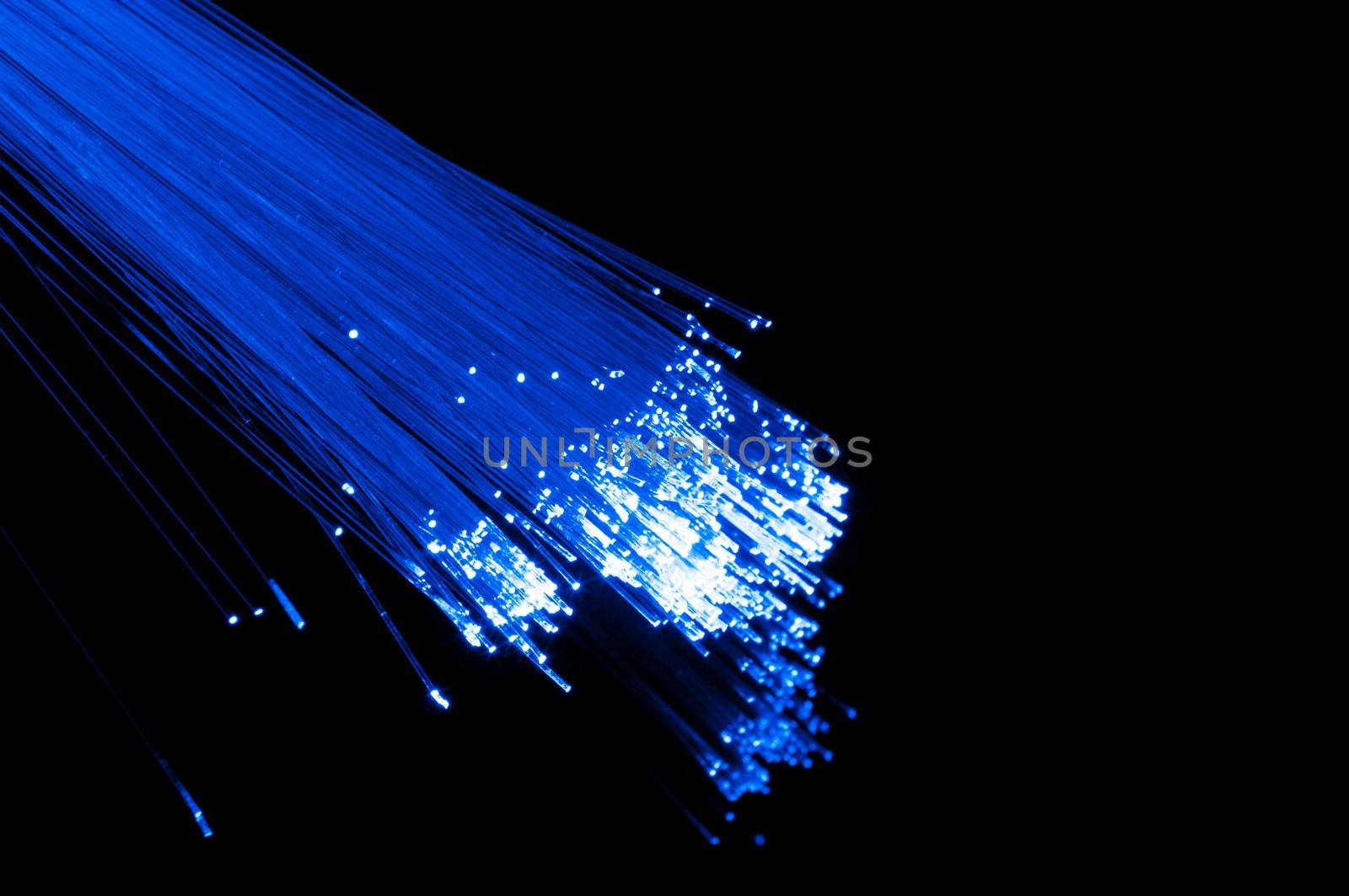 internet technology concept with fiber optics on black background