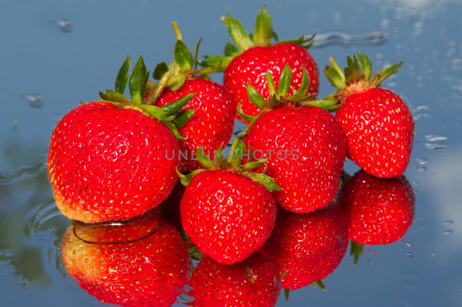 The first ripened strawberry on a background of the blue sky