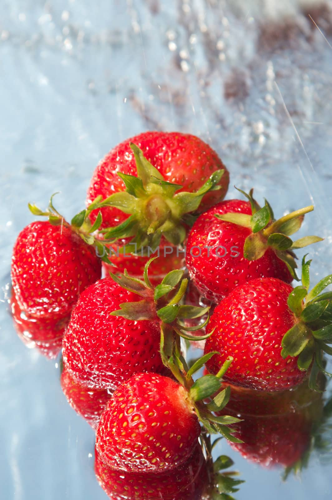 strawberry by Goruppa