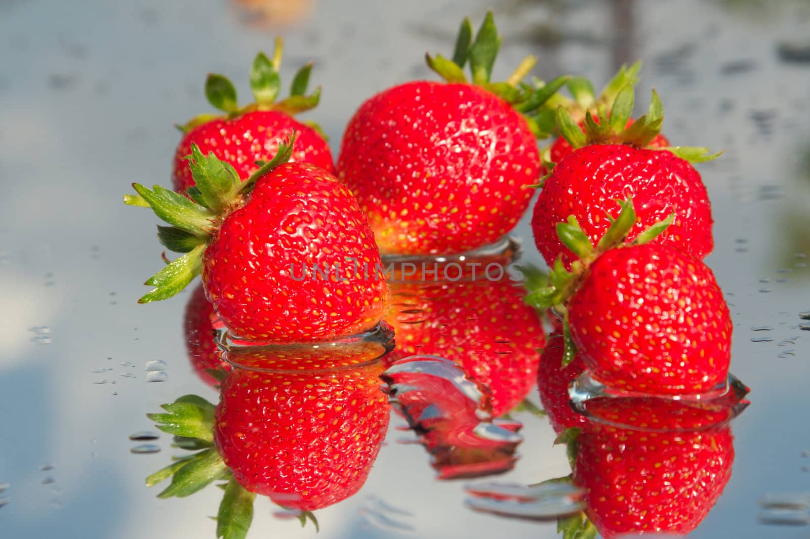 The first ripened strawberry on a background of the blue sky