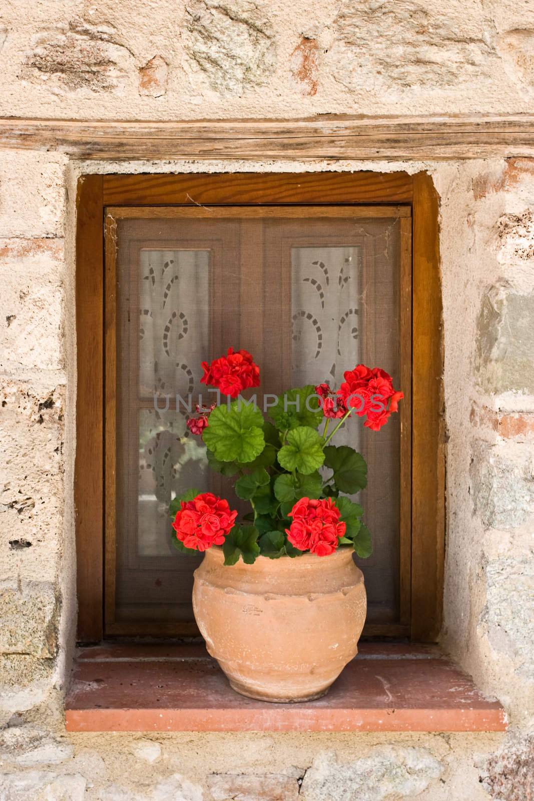 Flower pot in window by naumoid